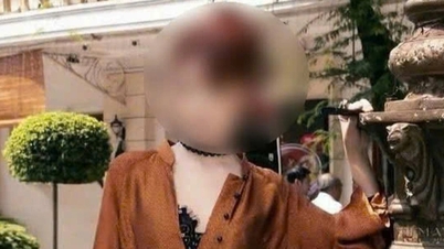 Ao Dai modernizado con escote pronunciado: ¿Por qué la comunidad critica este diseño creativo?