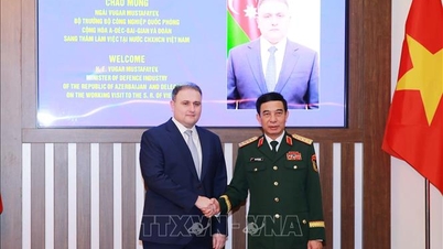 Vietnam and Azerbaijan strengthen cooperation in defense industry.