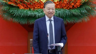 Le Comité directeur central pour le développement scientifique et technologique et la transformation numérique met en œuvre ses missions.