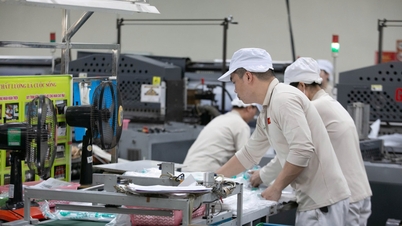 Doanh nghiệp Hải Phòng thúc đẩy sản xuất xanh