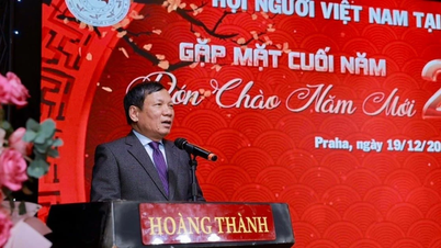 Vatansever Taklit: Avrupa'daki Vietnam topluluğunu bir araya getiren insanlar