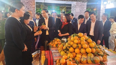 ตวนกวางเข้าร่วมบูธผลิตภัณฑ์ทางการเกษตรในงาน "เทศกาลผลิตภัณฑ์ทางการเกษตร สหกรณ์ และหมู่บ้านหัตถกรรมดั้งเดิมที่เชื่อมโยงกับการท่องเที่ยว - ไทยเหงียน 2025"