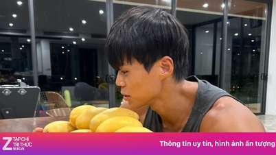 ベトナムの韓国人観光客の間でマンゴーブームが起こっています。