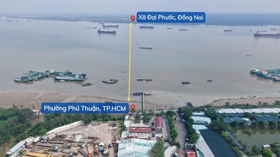 Ciudad Ho Chi Minh invierte 36.000 billones de VND para construir el puente Can Gio y el puente Phu My 2.