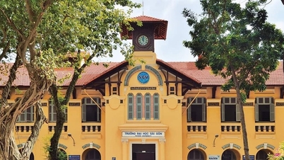 Estudantes de formação de professores reclamam que não receberam entre 40 e 70 milhões de VND em apoio financeiro; Universidade de Saigon responde.