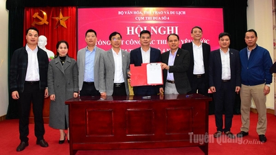 Cluster No. 4: Many breakthroughs in the fields of culture, sports, and tourism in 2025