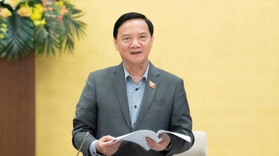 국회 부의장: 행정 구역의 지속적인 재편 및 통합과 관련하여 관련 당국으로부터 어떠한 의견도 제시되지 않았습니다.