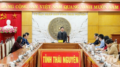 W dalszym ciągu doceniamy wybitne prace dziennikarskie na temat Thai Nguyena.
