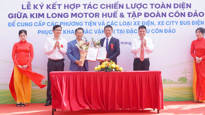 In Con Dao wurden Elektrobusse aus Hue in Betrieb genommen.