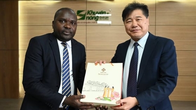 Angola'da tarımsal üretimi 'genişletmek' amacıyla bir tarım yayım sistemi geliştirmek.