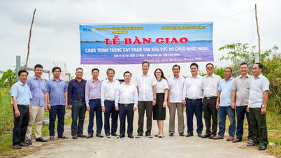 Entrega del proyecto de plantación de árboles en el lago de agua dulce Khanh An.