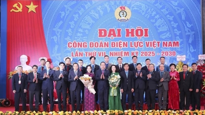 Vietnam Elektrik İşçileri Sendikası 7. Kongresi