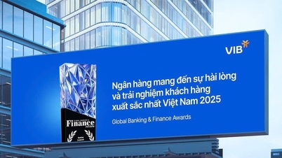 VIB es el mejor banco en experiencia del cliente en 2025.