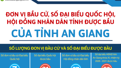 [Infographics] Đơn vị bầu cử, số Đại biểu Quốc hội, Hội đồng nhân dân tỉnh được bầu của tỉnh An Giang