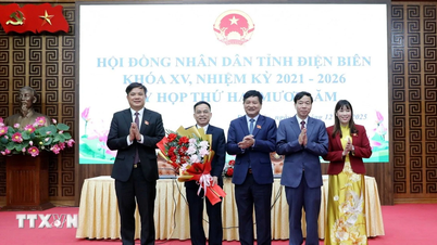 លោក ង្វៀន វ៉ាន់ ដៀត ត្រូវបានជ្រើសតាំងជាអនុប្រធានគណៈកម្មាធិការប្រជាជនខេត្តឌៀនបៀន។