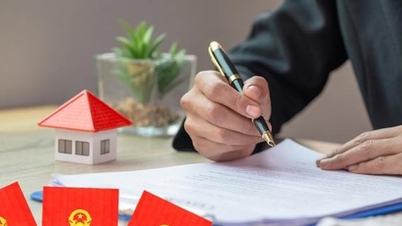 تغییرات در محدودیت‌های مساحت زمین هنگام صدور گواهی مالکیت زمین از اول ژانویه ۲۰۲۶.