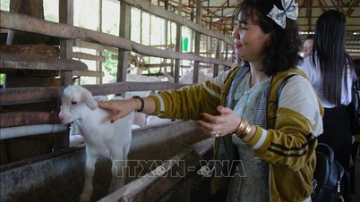 Turismo rural e aldeias de artesanato tradicional: precisamos superar uma mentalidade de exploração isolada.