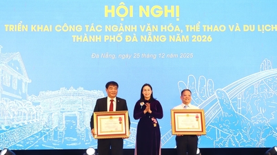 มุ่งเน้นการให้คำปรึกษาเกี่ยวกับกลไกและนโยบายเพื่อการพัฒนาอุตสาหกรรมวัฒนธรรมของเมืองดานัง