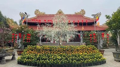 Pagoda Meo – cel turystyki kulturalnej i duchowej.