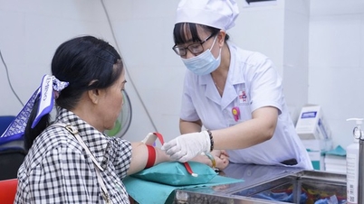 Free diabetes and cancer screening