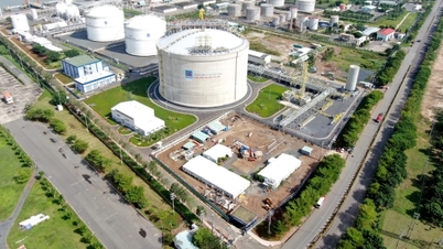 PV GAS, ekonominin ihtiyaç duyduğu yeterli doğalgaz arzını sağlamaya kendini adamıştır.