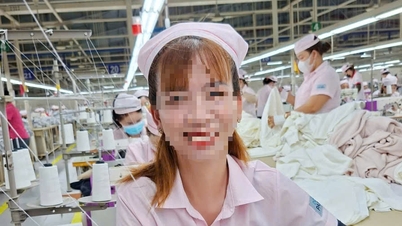 บริษัทต่างชาติที่ลงทุนโดยตรง (FDI) ซึ่งมีพนักงานกว่า 2,600 คนในนครโฮจิมินห์ ประกาศยุติการดำเนินงาน