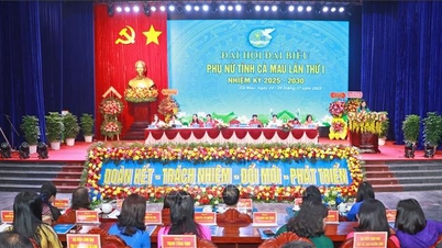 Innovasjon og omfattende digital transformasjon på alle nivåer i kvinneforeninger.