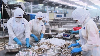 Kurumlar vergisi muafiyeti: Vietnam'ın deniz ürünleri endüstrisi için yeni bir ivme.