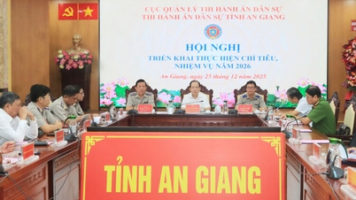 L'agence de répression civile de la province d'An Giang s'attache à accélérer le processus de répression.