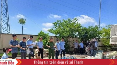 Từ 25/12, triển khai cao điểm chống buôn lậu, gian lận thương mại và hàng giả