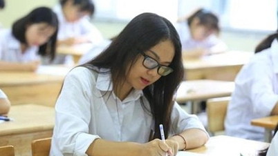 Plus de 6 750 élèves participeront au concours national des élèves d'excellence du secondaire 2025-2026.