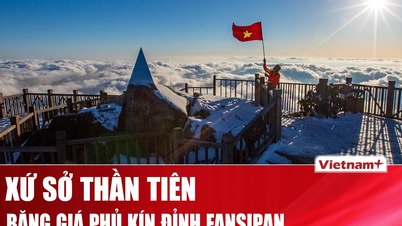 Fansipan zirvesini kaplayan kırağı, masalsı bir Noel manzarası oluşturdu.