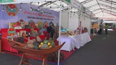 Le delta du Mékong accueillera le Salon de l'agriculture verte et des produits agricoles de 2025.