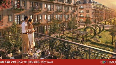 Dzięki 36-miesięcznemu przedłużeniu budowy Lumira Villa robi furorę na rynku w Hajfong.