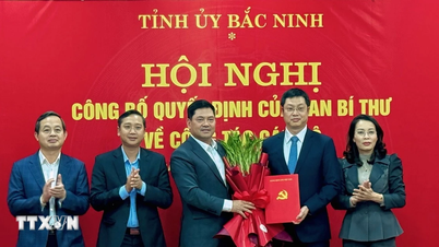 Bac Ninh bejelenti a Tartományi Pártbizottság titkárhelyettesének kinevezéséről szóló döntését.