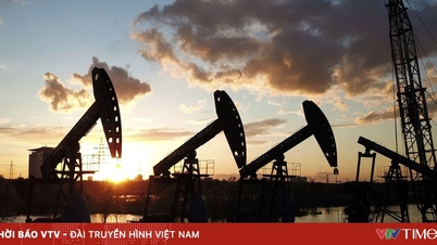 De VS en OPEC+ verhogen de productie, wat de olieprijzen aanzienlijk onder druk zet.