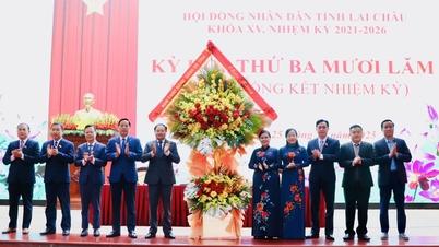 ក្រុមប្រឹក្សាប្រជាជនខេត្តឡៃចូវ អាណត្តិទី១៥៖ សេចក្តីសង្ខេប និងការវាយតម្លៃសកម្មភាពក្នុងអំឡុងអាណត្តិឆ្នាំ២០២១-២០២៦។