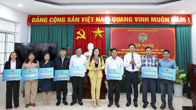 Provinzbauernverband Khanh Hoa: Bereitstellung von 10 Tonnen Reissaatgut für von Überschwemmungen und starken Regenfällen betroffene Landwirte.