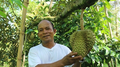 ผลจากการทำงานหนักของพวกเขาช่วยให้ชาวเมือง Khánh Sơn หลุดพ้นจากความยากจนได้อย่างยั่งยืน
