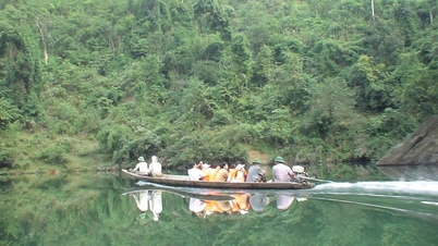 वियतनामी लोग घरेलू यात्रा और परिवार के साथ समय बिताने को प्राथमिकता देते हैं।