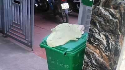 Investigación sobre la muerte de un bebé recién nacido encontrado en un bote de basura.