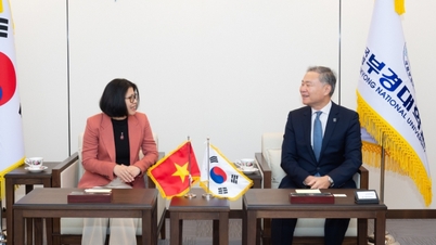 A Universidade Nacional de Pukyong (Coreia do Sul) está empenhada em proporcionar aos estudantes vietnamitas um bom ambiente para aprendizagem e formação.