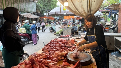 Hai Phong میں سور کے گوشت کی قیمتوں میں ایک بار پھر اضافہ ہوا ہے۔