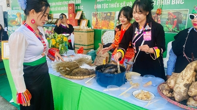 ភ្ជាប់ផលិតកម្ម និងលើកកម្ពស់ជីវភាពរស់នៅរបស់ជនជាតិភាគតិច។
