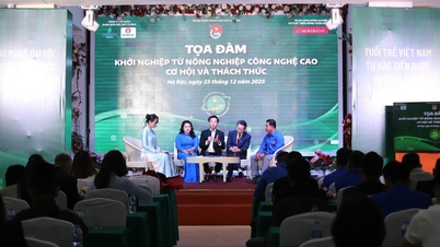 អ្នកជំនាញផ្តល់ដំបូន្មានដល់យុវជនដែលចាប់ផ្តើមអាជីវកម្មកសិកម្មបច្ចេកវិទ្យាខ្ពស់។