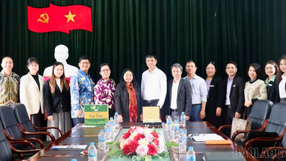 Trường Cao đẳng Nghề Yên Bái làm việc với Đoàn công tác của Đại sứ quán Indonesia