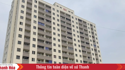 Dong Hai 11 Şirketi'ndeki usulsüzlüklerin ardından, Thanh Hoa ili sosyal konutların alım, satım ve kiralama işlemlerinin yönetimini güçlendiriyor.