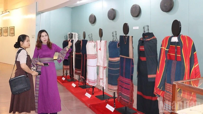 Quang Ngai inaugura la Semana del Patrimonio Cultural 2025.