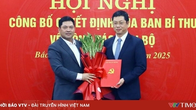 Sayın Tran Huy Phuong'un Bac Ninh İl Parti Komitesi Başkan Yardımcılığına atanması onaylanmıştır.