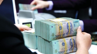 Las entradas de capital a gran escala abren el camino para un nuevo ciclo de crecimiento.